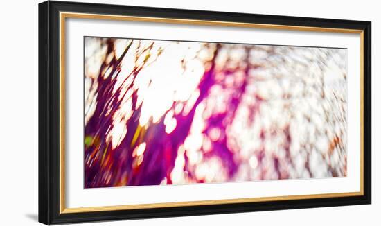 Tree Pallette, 2017, (Manipulated Photography)-Helen White-Framed Photographic Print