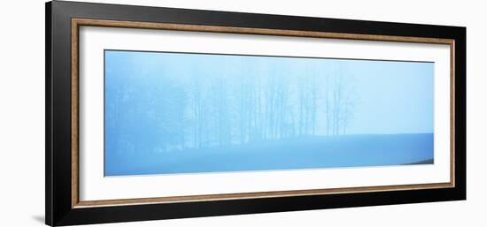 Tree Panorama II-James McLoughlin-Framed Photographic Print