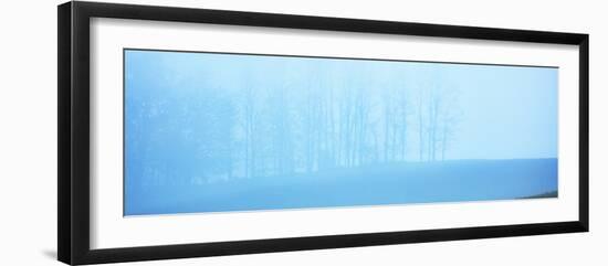 Tree Panorama II-James McLoughlin-Framed Photographic Print