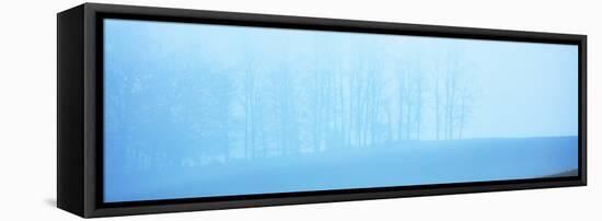 Tree Panorama II-James McLoughlin-Framed Premier Image Canvas