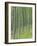 Tree Patterns, Burtness Wood, Lake District, Cumbria, England, UK-Neale Clarke-Framed Photographic Print