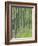 Tree Patterns, Burtness Wood, Lake District, Cumbria, England, UK-Neale Clarke-Framed Photographic Print