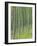 Tree Patterns, Burtness Wood, Lake District, Cumbria, England, UK-Neale Clarke-Framed Photographic Print