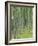 Tree Patterns, Burtness Wood, Lake District, Cumbria, England, UK-Neale Clarke-Framed Photographic Print