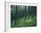 Tree Patterns, Burtness Wood, Lake District, Cumbria, England, United Kingdom-Neale Clarke-Framed Photographic Print