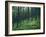 Tree Patterns, Burtness Wood, Lake District, Cumbria, England, United Kingdom-Neale Clarke-Framed Photographic Print