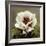 Tree Peony, 19th Century-Ogawa Kazuma-Framed Giclee Print