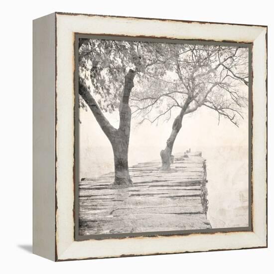Tree Pier-Kimberly Allen-Framed Stretched Canvas
