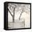 Tree Pier-Kimberly Allen-Framed Stretched Canvas