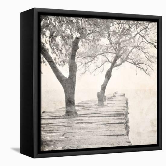 Tree Pier-Kimberly Allen-Framed Stretched Canvas