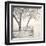 Tree Pier-Kimberly Allen-Framed Art Print