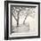 Tree Pier-Kimberly Allen-Framed Art Print