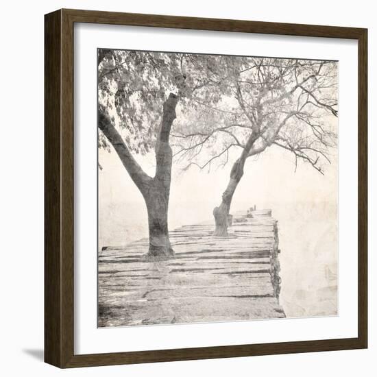 Tree Pier-Kimberly Allen-Framed Art Print