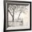 Tree Pier-Kimberly Allen-Framed Art Print