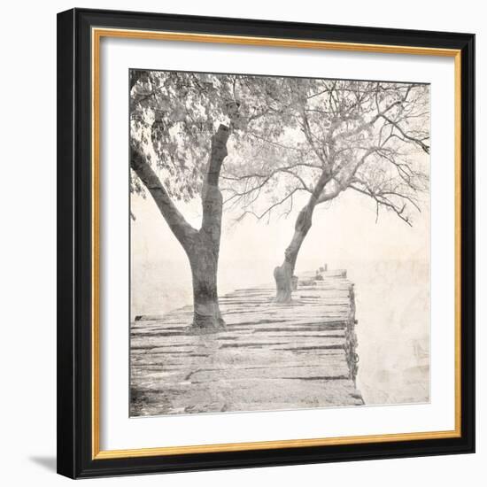 Tree Pier-Kimberly Allen-Framed Art Print