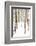 Tree, plant, cold, snow-Nora Frei-Framed Photographic Print