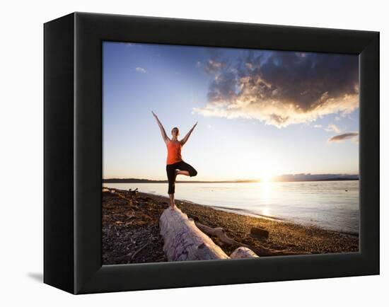 Tree Pose During Sunset on the Beach of Lincoln Park, West Seattle, Washington-Dan Holz-Framed Premier Image Canvas