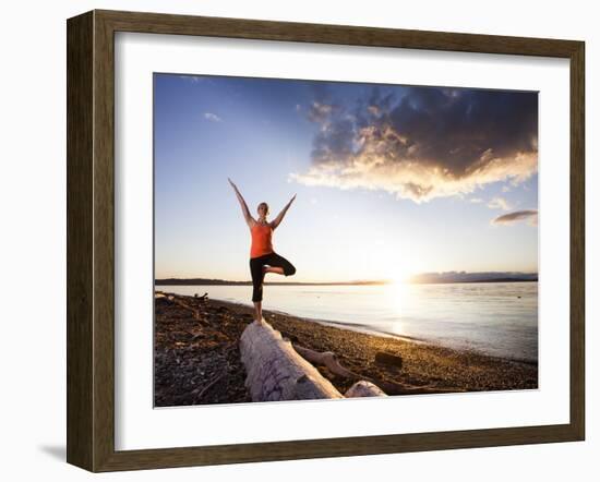 Tree Pose During Sunset on the Beach of Lincoln Park, West Seattle, Washington-Dan Holz-Framed Photographic Print