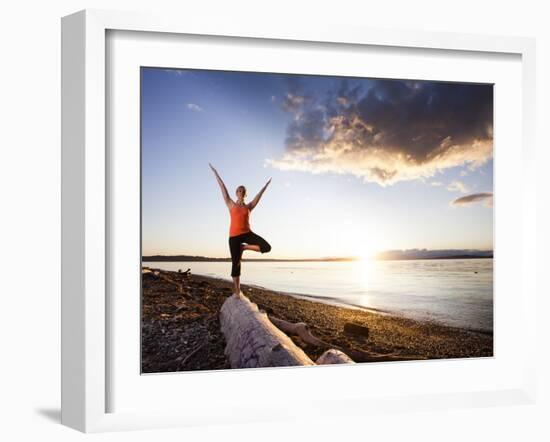 Tree Pose During Sunset on the Beach of Lincoln Park, West Seattle, Washington-Dan Holz-Framed Photographic Print