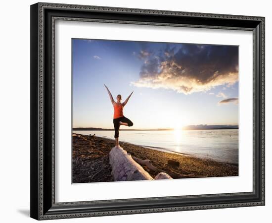 Tree Pose During Sunset on the Beach of Lincoln Park, West Seattle, Washington-Dan Holz-Framed Photographic Print