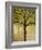 Tree Print Birds Boughs in Leaf-Blenda Tyvoll-Framed Art Print