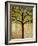 Tree Print Birds Boughs in Leaf-Blenda Tyvoll-Framed Art Print