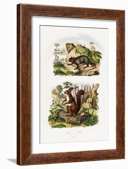 Tree Rat, 1833-39-null-Framed Giclee Print