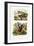 Tree Rat, 1833-39-null-Framed Giclee Print