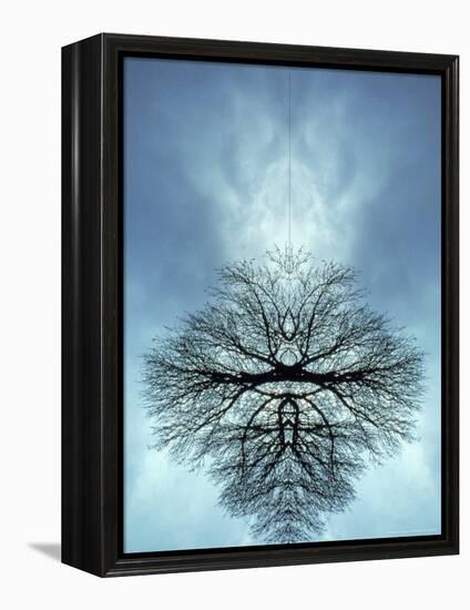 Tree Reflected in Water and Surrounded by Clouds-Chris Rogers-Framed Premier Image Canvas