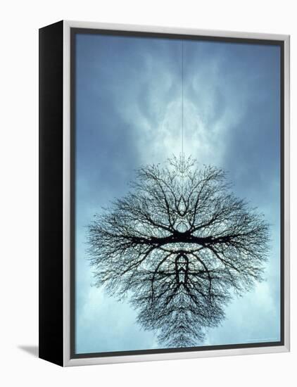 Tree Reflected in Water and Surrounded by Clouds-Chris Rogers-Framed Premier Image Canvas