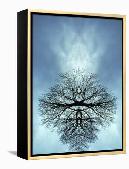 Tree Reflected in Water and Surrounded by Clouds-Chris Rogers-Framed Premier Image Canvas