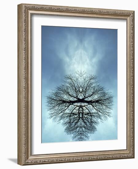 Tree Reflected in Water and Surrounded by Clouds-Chris Rogers-Framed Photographic Print