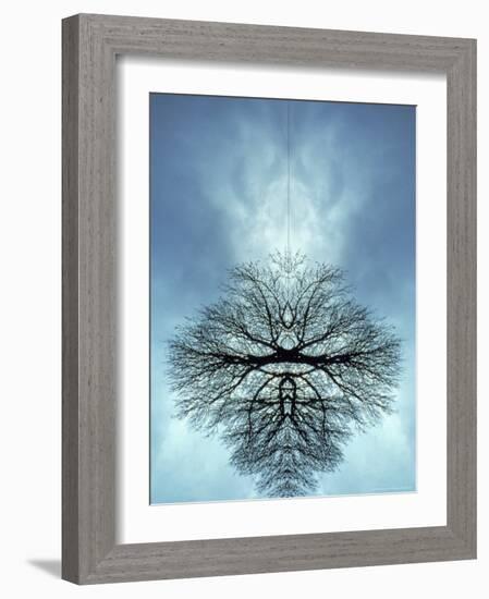 Tree Reflected in Water and Surrounded by Clouds-Chris Rogers-Framed Photographic Print