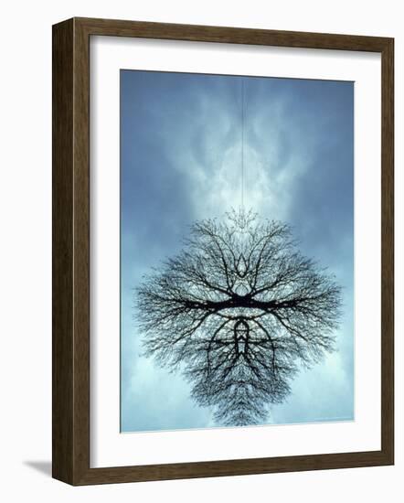 Tree Reflected in Water and Surrounded by Clouds-Chris Rogers-Framed Photographic Print