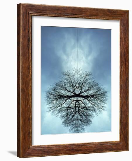 Tree Reflected in Water and Surrounded by Clouds-Chris Rogers-Framed Photographic Print