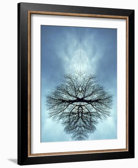 Tree Reflected in Water and Surrounded by Clouds-Chris Rogers-Framed Photographic Print