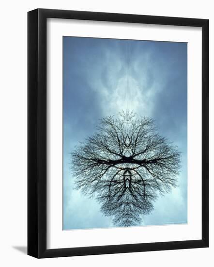 Tree Reflected in Water and Surrounded by Clouds-Chris Rogers-Framed Photographic Print