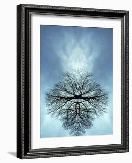 Tree Reflected in Water and Surrounded by Clouds-Chris Rogers-Framed Photographic Print