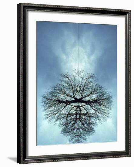 Tree Reflected in Water and Surrounded by Clouds-Chris Rogers-Framed Photographic Print