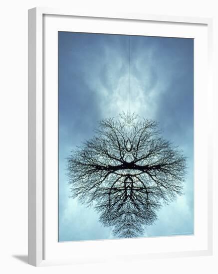 Tree Reflected in Water and Surrounded by Clouds-Chris Rogers-Framed Photographic Print