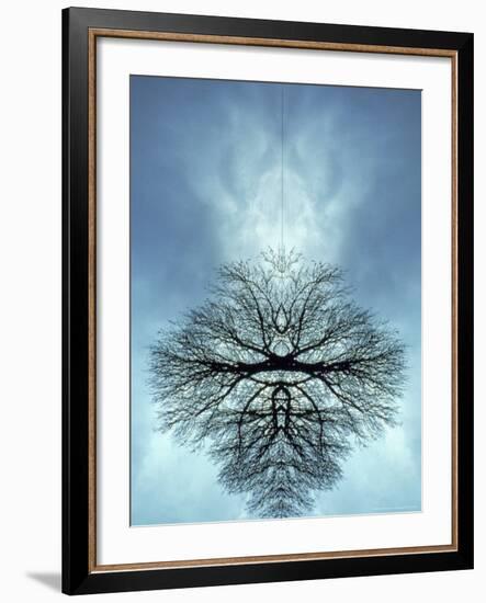 Tree Reflected in Water and Surrounded by Clouds-Chris Rogers-Framed Photographic Print