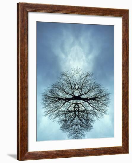 Tree Reflected in Water and Surrounded by Clouds-Chris Rogers-Framed Photographic Print