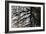 Tree Reflected in Water-Mark Sunderland-Framed Photographic Print