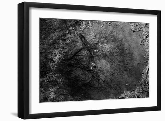 Tree Reflection in Puddle-null-Framed Photo