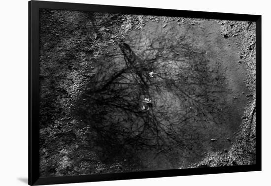 Photo, , large