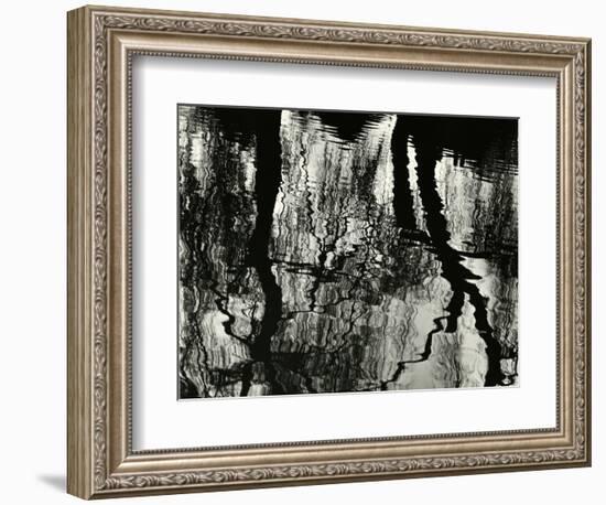 Tree, Reflections, Europe, 1971-Brett Weston-Framed Photographic Print