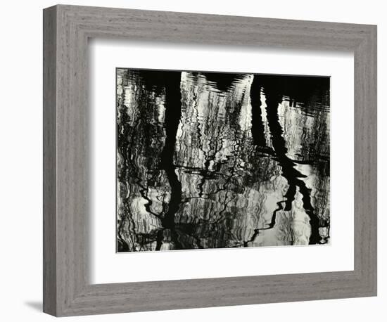 Tree, Reflections, Europe, 1971-Brett Weston-Framed Photographic Print