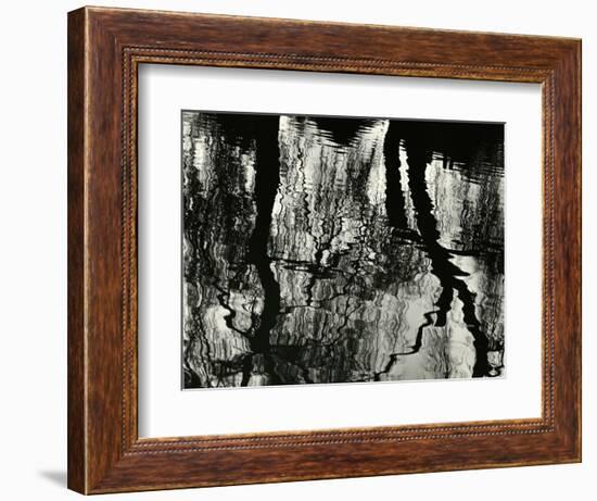 Tree, Reflections, Europe, 1971-Brett Weston-Framed Photographic Print