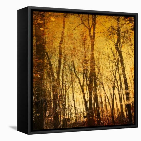 Tree Reflections-Irene Suchocki-Framed Premier Image Canvas