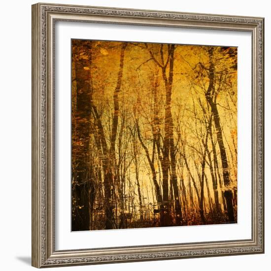 Tree Reflections-Irene Suchocki-Framed Photographic Print